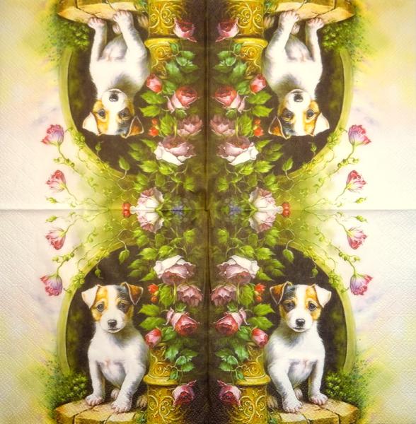 HUN-1505 Dogs - 3-ply - Specials